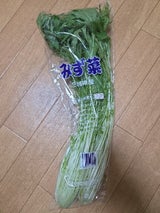 大沼 みずな 200g