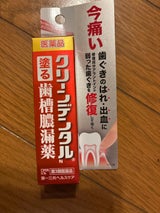 クリーンデンタルN 8g