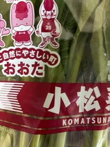 JA群馬 こまつな 250g