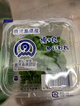 カイワレダイコン