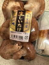 七河香取 なましいたけ