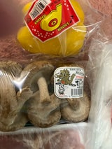 南九州資材 パプリカ