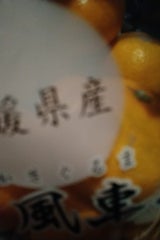 JAにしうわ みかん 風車みかん