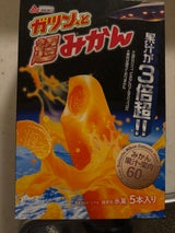 赤城乳業 ガツン、と超みかん 58ml×5