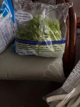 AW フリルクイーン 80g