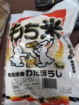 高廣 新潟県産もち米 わたぼうし 1kg