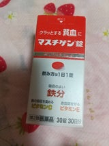 マスチゲン錠 30錠