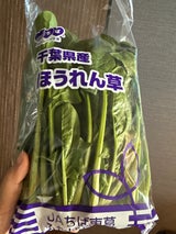 平林 ほうれんそう 1P