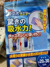 セイワプロ 吸スポダスター