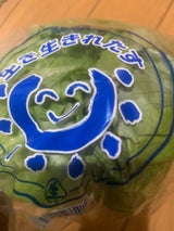 生子 生き生きレタス