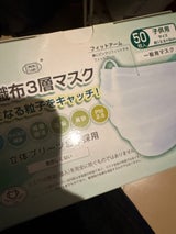 富士 不織布3層マスク 子供用 50枚