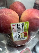 長野大同青果 サンふじ 大袋 1kg