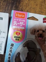 ハーツ デンタル ティーザー ソフト S〜M