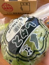 第一包装 JA淡路日の出レタス 1P