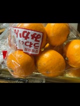 ダイプラ みかんS用袋