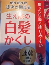 Sカラーオンリタッチ白髪かくしEXNBR 15ml