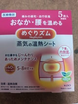 めぐりズム 蒸気の温熱シート 下着の内側面に貼る 5枚
