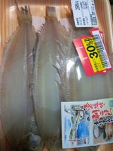 蔵平 干しかれい