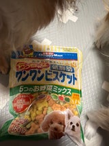 おなかにやさしいS低脂肪ワンビス 野菜 160g