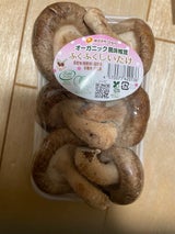 ひかり ふくふくしいたけ 100g