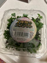 すぷらうと 7種のスプラウト 1P