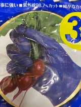 東和 ビニスターマリンBL L