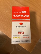 マスチゲン錠 120錠