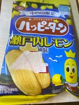 アジカル ハッピーT瀬戸内L中四国 34g