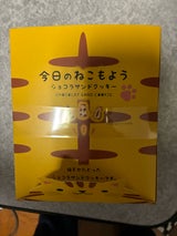 豊上製菓 今日のねこもよう 8個