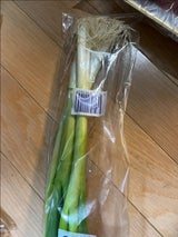 牧 あおねぎ奈良産 1P