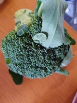 中野 ブロコリーの芽