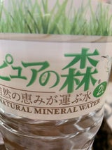 ビクトリー 天然水ピュアの森 2L