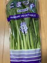 シモジマ 茨城産こまつな用袋 1P