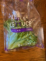 アグリアドバンス リーフレタス フリルレタス