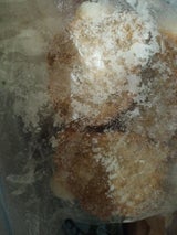 八水蒲鉾 ごぼう入じゃこ天トレー 3枚