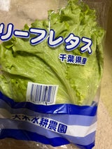 NIC 大木水耕農園リーフレタス 1P