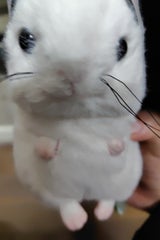 やさしい味わいのヨーグルト低脂肪 70g×3