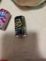 カナダドライ ジンジャーエール 160ml