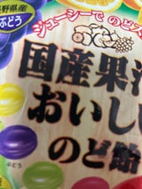 早川製菓 国産果汁のど飴 90g