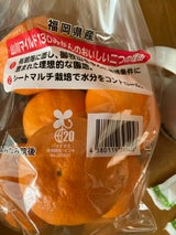 全農福岡 福岡かんきつM 700g