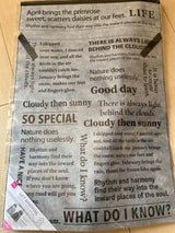 バル 底マチ不織布巾着バッグ モノトーン