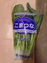 中本 こまつな 1P