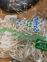 山都 細もやし 袋 200g