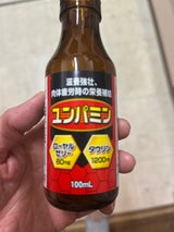 金陽製薬 ユンパミン 100ml