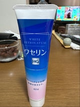大洋 ワセリンHG チューブ 60g
