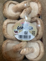 JA秋田 なましいたけ