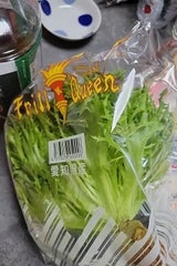 竹内園 フリルクイーン 1P