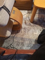 北海道産 長ねぎ 函館育ち