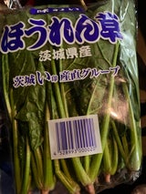 石岡 ほうれんそう