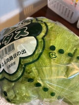 第一包装 JA淡路日の出レタス 1P